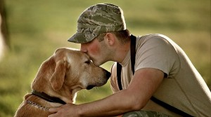 canine-combat-veteran